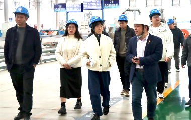 宜賓市經(jīng)合新產(chǎn)局領(lǐng)導來訪遠東電纜（宜賓）